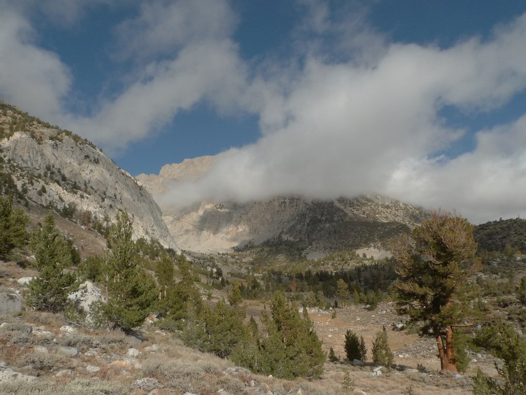 California-Fall2010 545.JPG